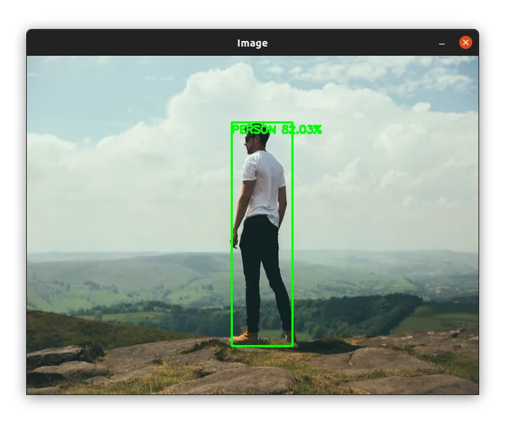 Object detection in image #2