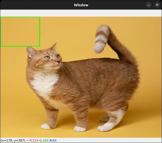 How to Use Sliding Windows for Object Detection in OpenCV and Python