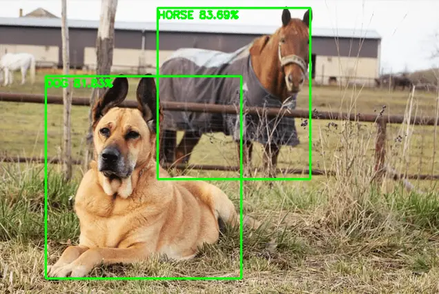 Object Detection with Python, Deep Learning, and OpenCV