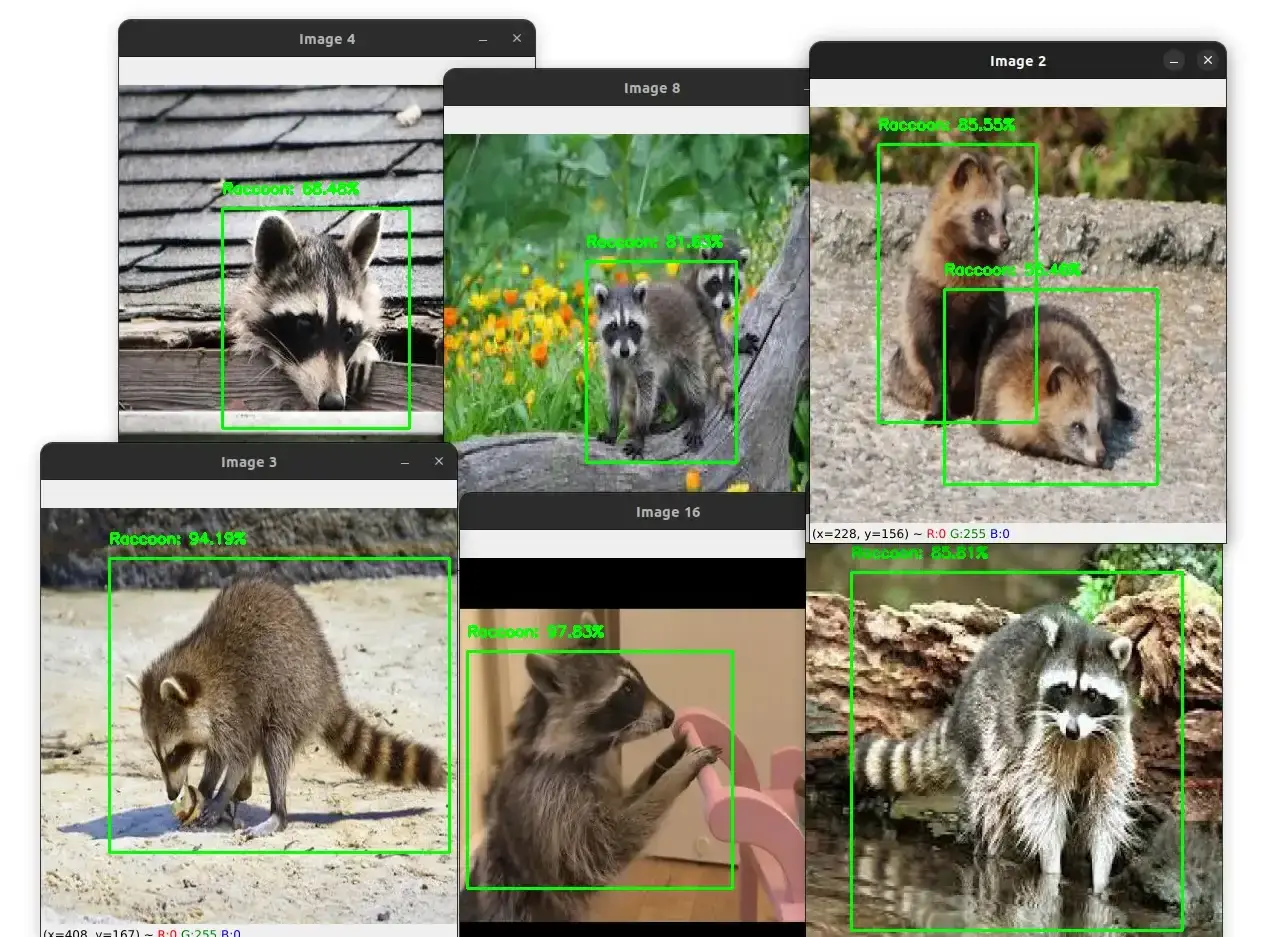 YOLOv4 Custom Object Detection with OpenCV and Python
