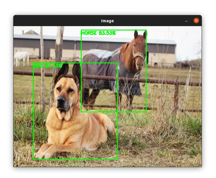 Object detection in image #3